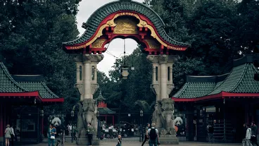 Berlin Zoo