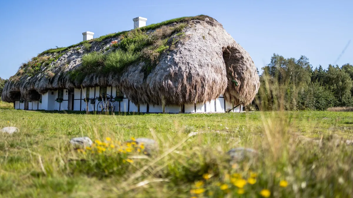 Læsø