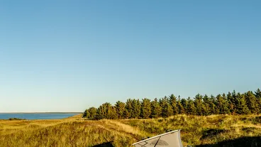 Driving Denmark