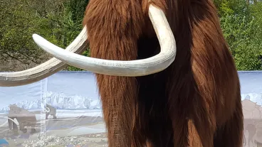 Aalborg Zoo