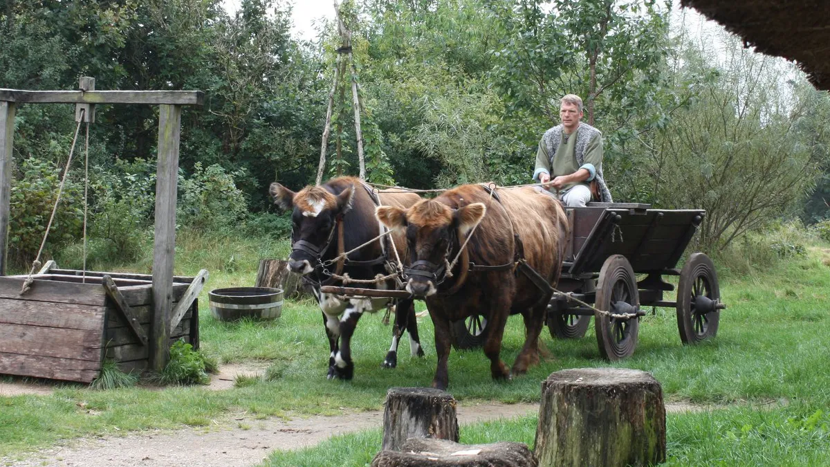 Ribe Viking Center