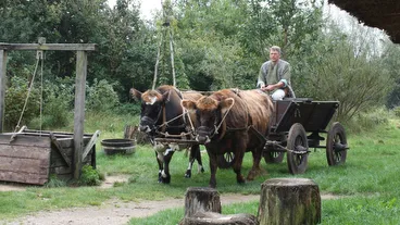 Ribe Viking Center