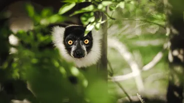 Knuthenborg Safari Park