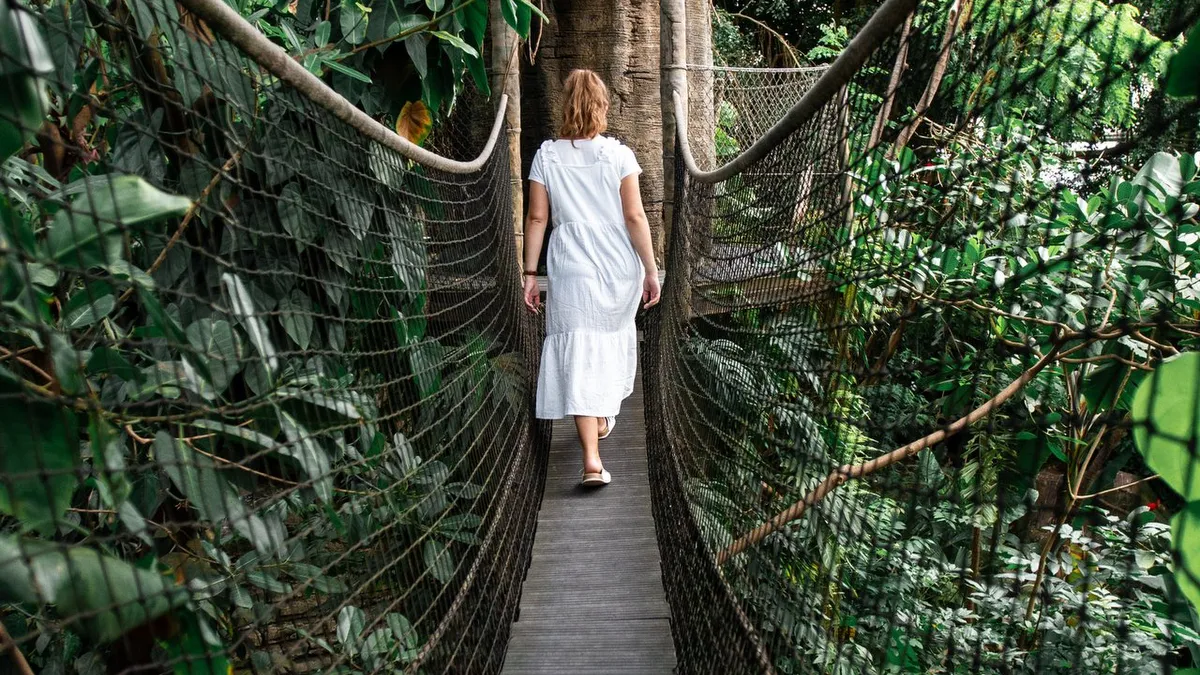 Randers Rainforest