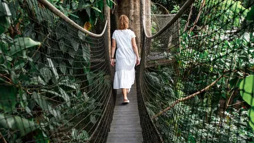 Randers Rainforest
