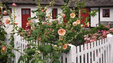 Gilleleje
