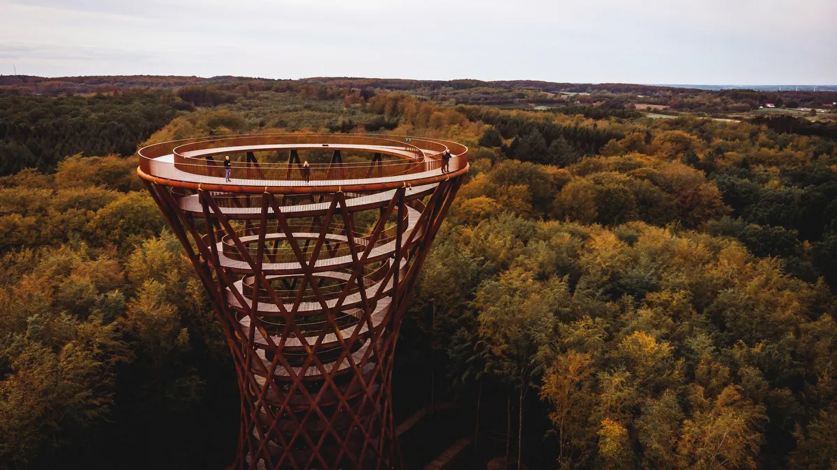 The Forest Tower