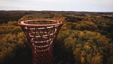 The Forest Tower