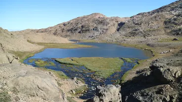 Tasiilaq Flower Valley