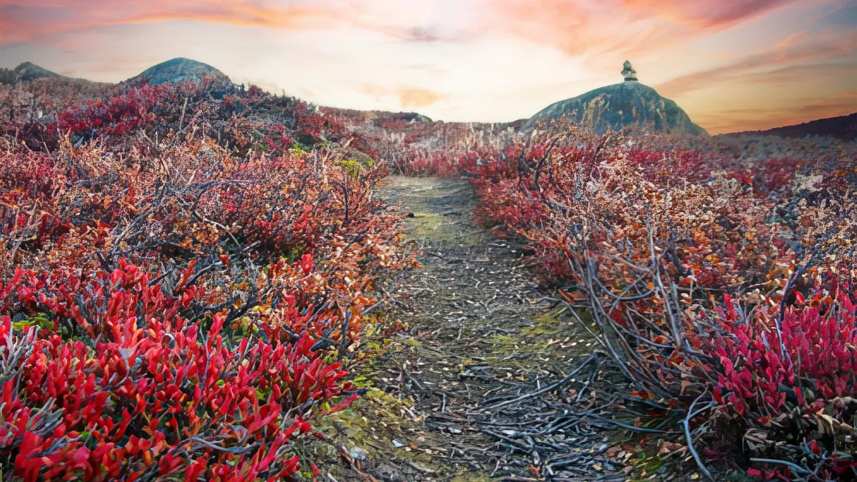 Arctic Circle Trail Campsites