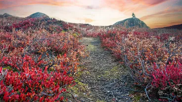 Arctic Circle Trail Campsites