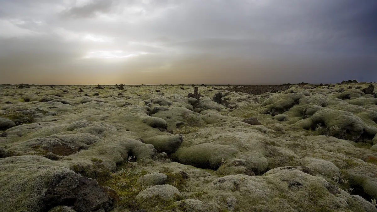 Lava Field