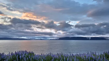 Djúpvegur
