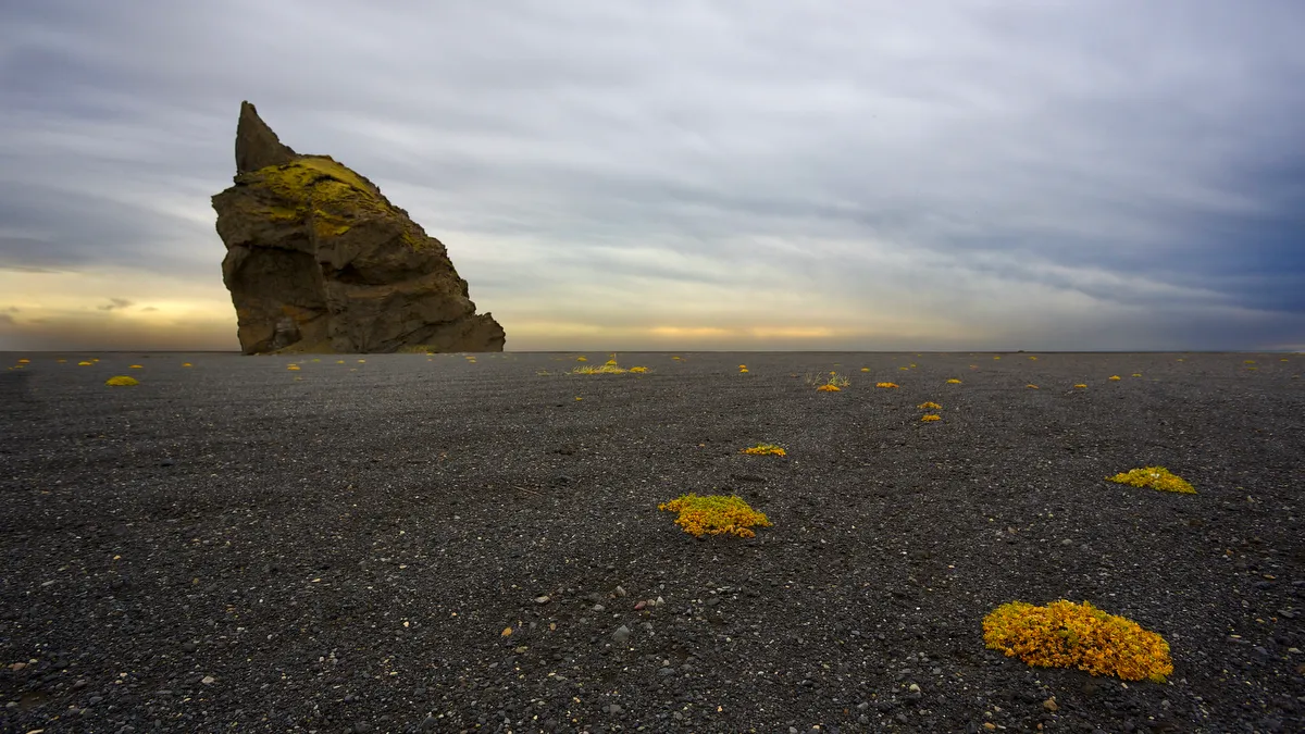 Beach by Hjorleifshöfði
