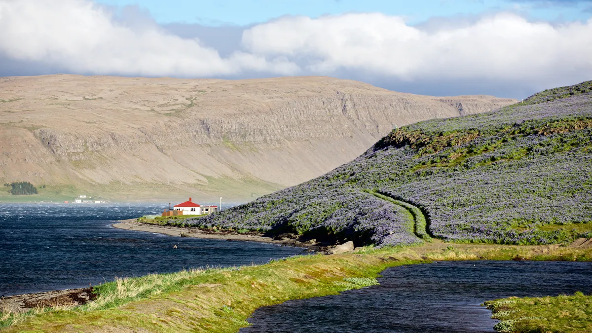 Barðastrandarvegur