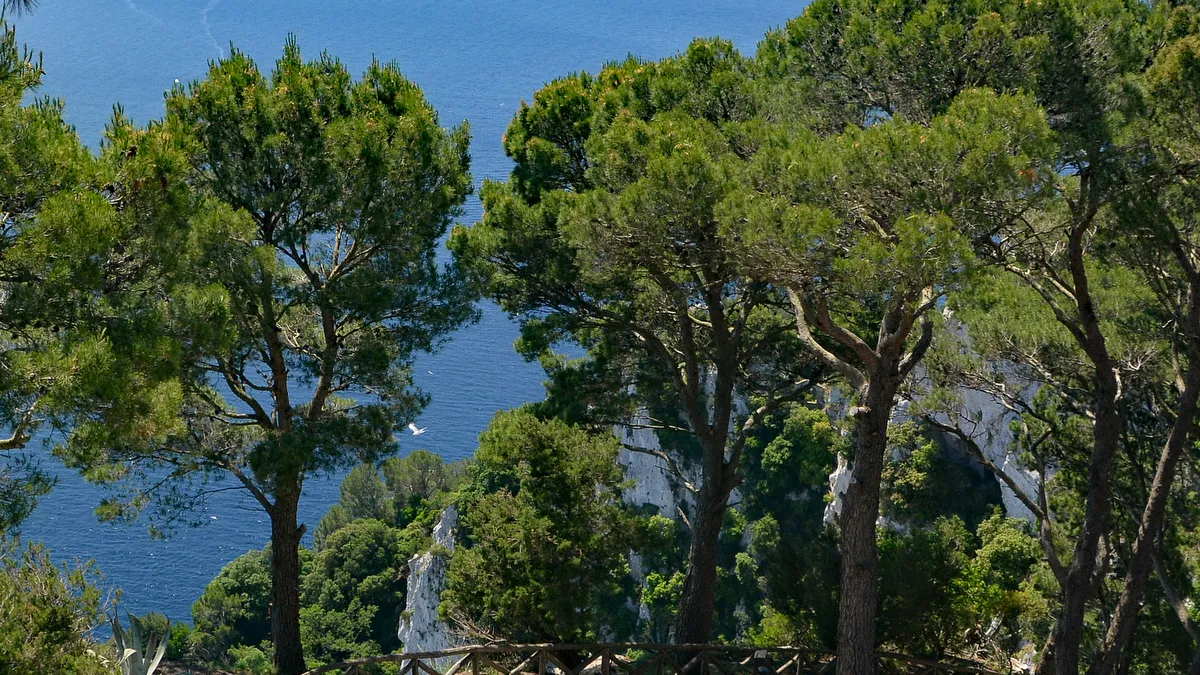 Villa Jovis
