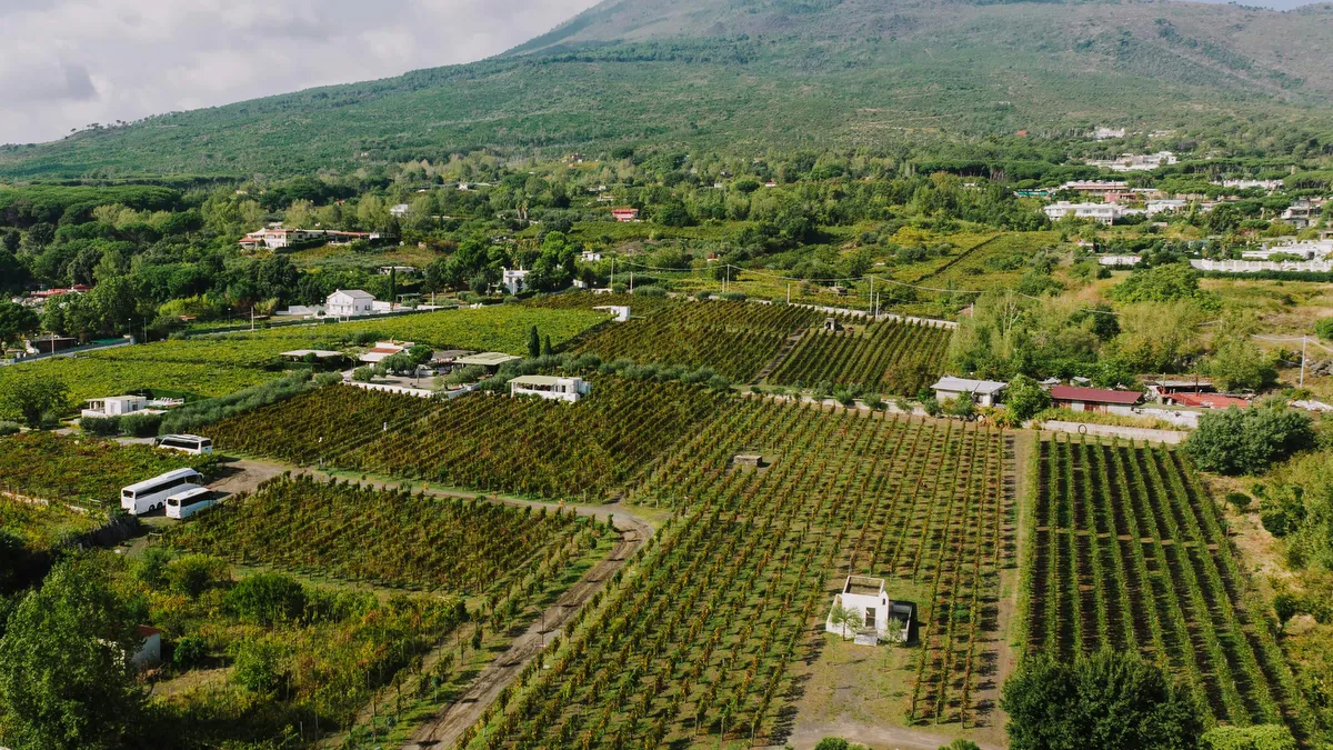 Vesuvius National Park