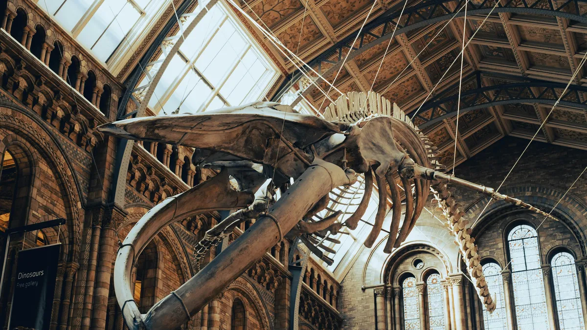 Natural History Museum
