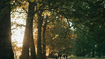 Hyde Park
