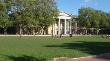 Saatchi Gallery
