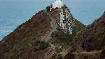 Nugget Point