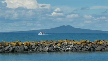 Rangitoto Island
