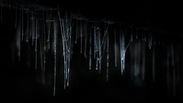 Waitomo Caves