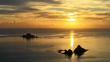 New Zealand