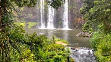 Whangarei
