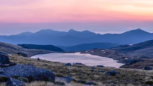 Kahurangi National Park