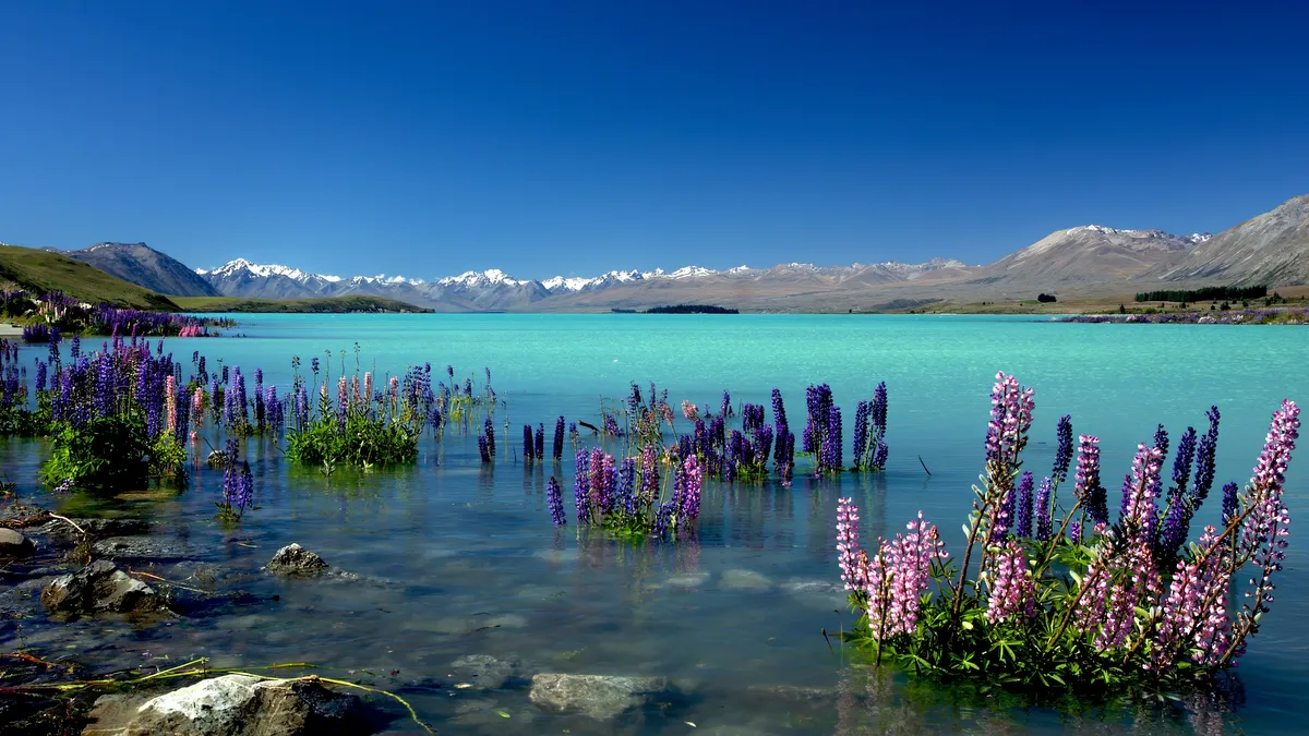 Lake Tekapo