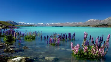 Lake Tekapo