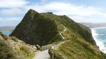 Otago Peninsula
