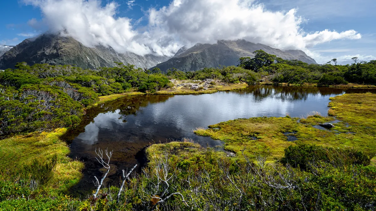 Routeburn Track