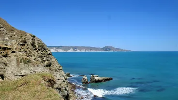Mahia Beach