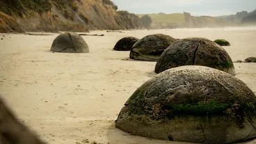 Moeraki Boulders Beach