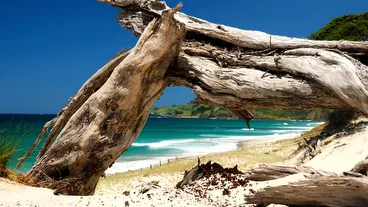 Pakiri Beach