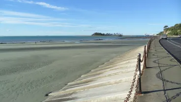 Tahunanui Beach