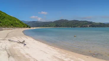 Wainui Beach
