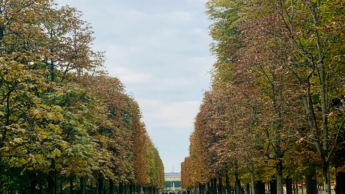 Jardin des Tuileries