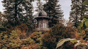 Bois de Boulogne