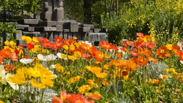 Parc Floral de Paris