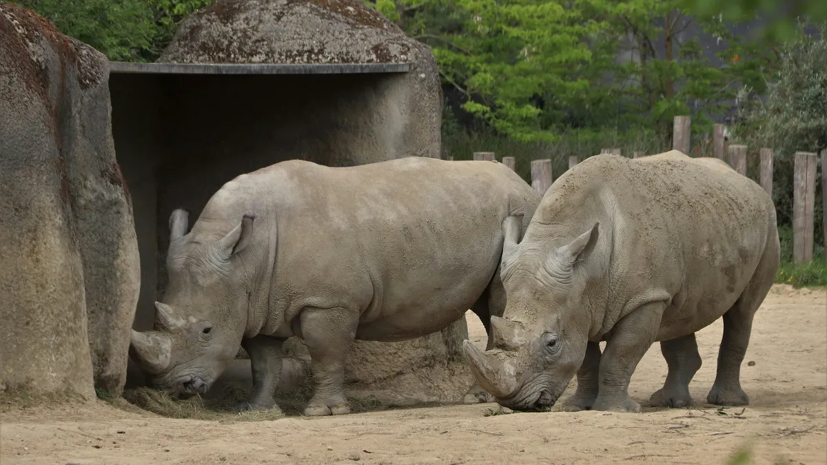 Paris Zoological Park
