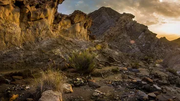 Tabernas Desert