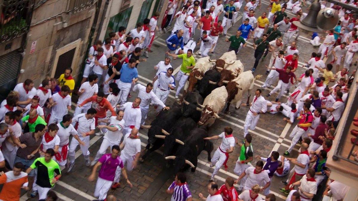 Running of the Bulls (San Fermín)