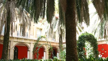 Museo de Bellas Artes (Valencia)