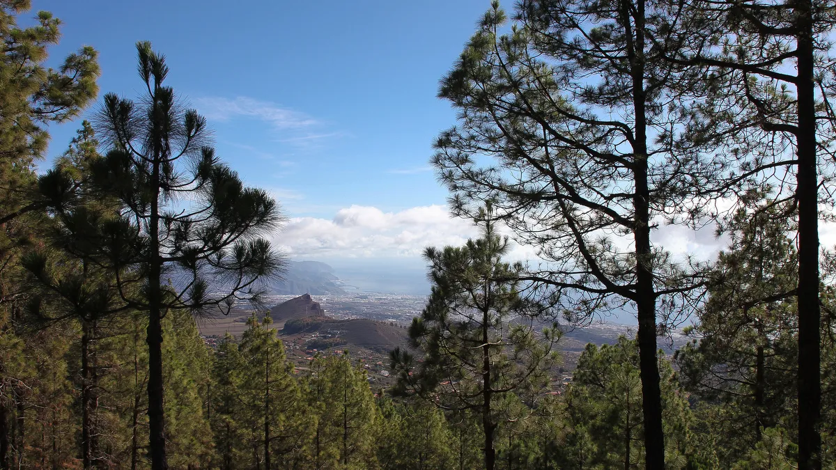 Tenerife