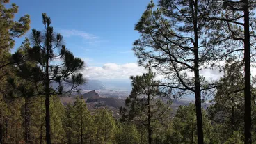 Tenerife