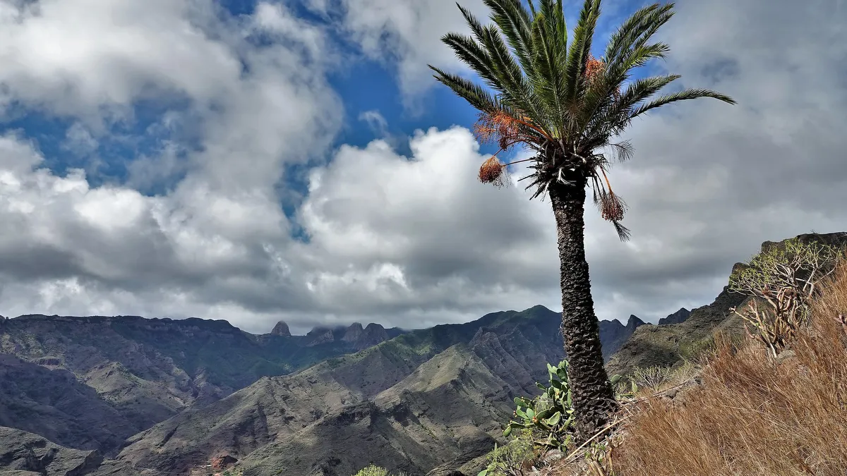 La Gomera
