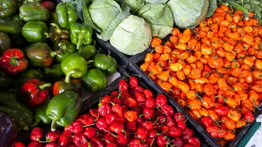 La Ribera Market